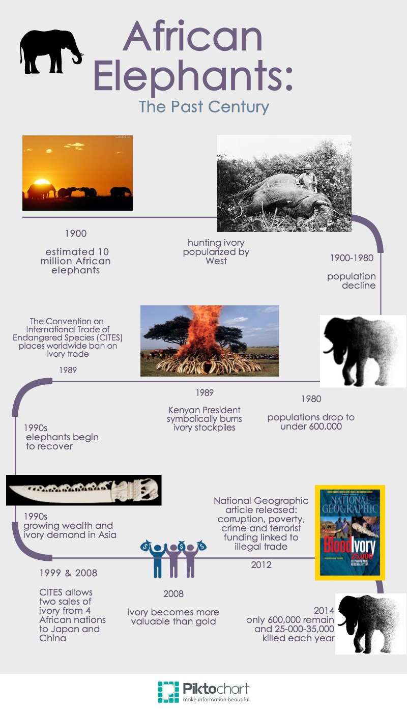 Untitled Infographic (8)