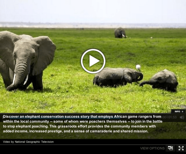 Partners in elephant conservation