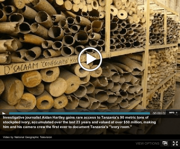 Tanzania's ivory stockpile