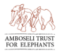 1Amboseli
